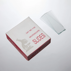 sinaglass-lammle-featured-image