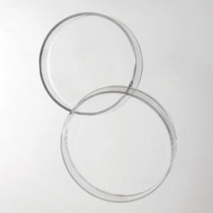 sinaglass-petri-dishe-featured-image